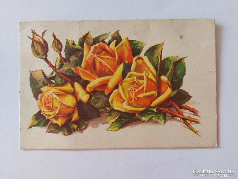 Régi képeslap rózsák