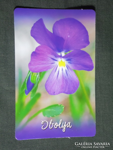 Card calendar, mistletoe pharmacy, pharmacy, tamási, flower, plant, violet, 2018, (1)