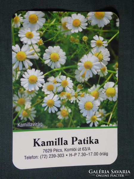 Card calendar, chamomile pharmacy, pharmacy, Pécs, flower, plant, chamomile, 2021 (1)