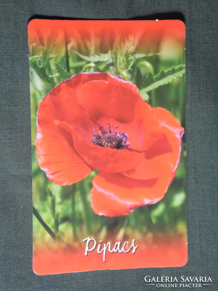 Card calendar, mistletoe pharmacy, pharmacy, tamási, flower, plant, poppy, 2018, (1)