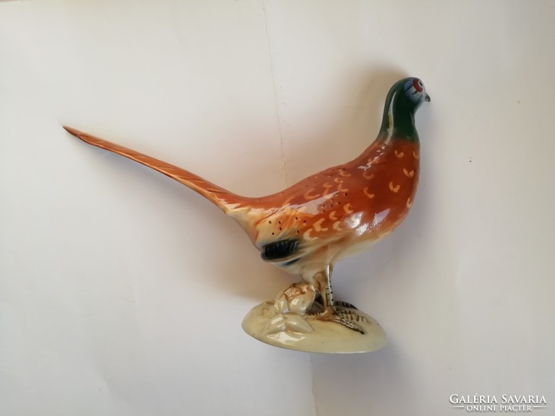 Royal dux: pheasant, large, flawless, marked, 34 cm