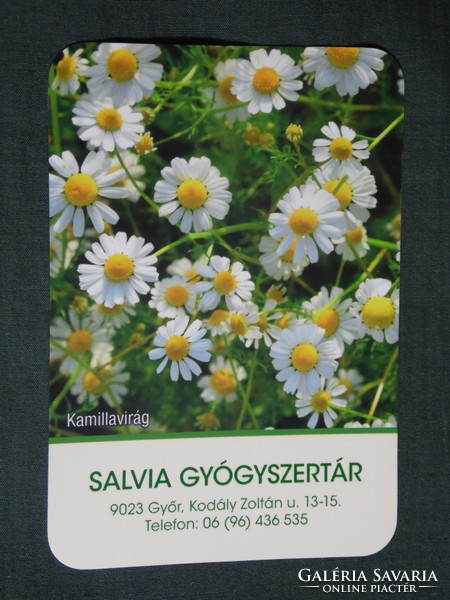 Kártyanaptár, Salvia gyógyszertár, patika, Győr ,virág,nővény, kamilla, 2021  (1)