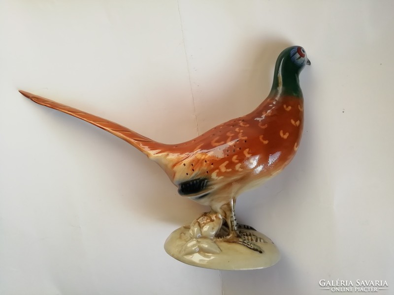 Royal dux: pheasant, large, flawless, marked, 34 cm