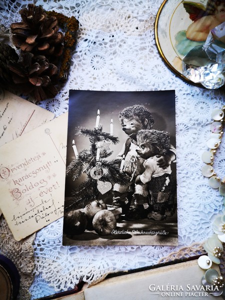 Retró sünis karácsonyi képeslap