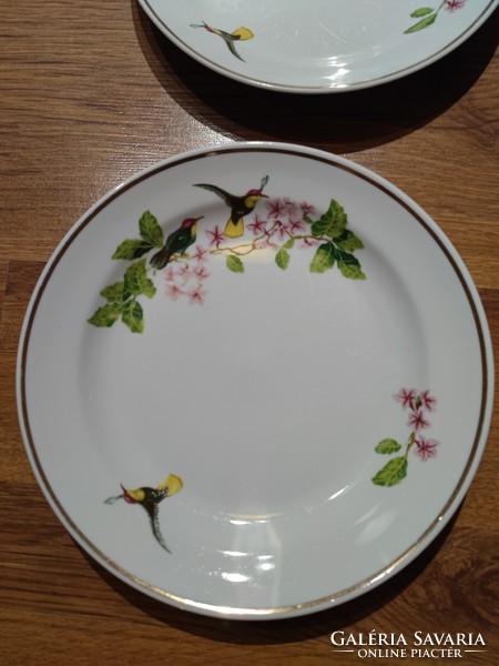 Zsolnay hummingbird bird plates