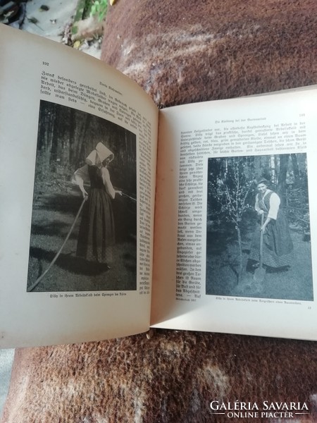 1917 - es Lotte Bubalfe régi könyv