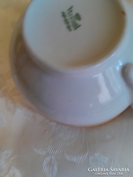 Victoria's collector's tea cup