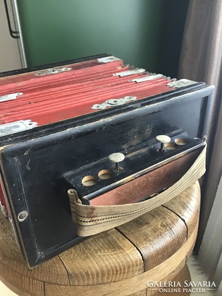 Antik tangóharmonika szecessziós díszítéssel