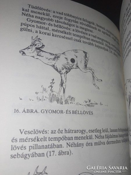 Dr Benő Borzsák: basic knowledge of hunting -1991