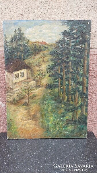 Sziklai E. olaj-vászon festmény 71x50 cm