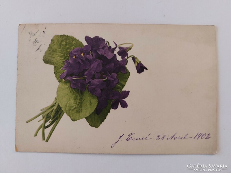 Régi képeslap 1902 levelezőlap ibolya