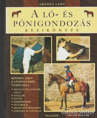 Amanda lang: the handbook of horse and pony care