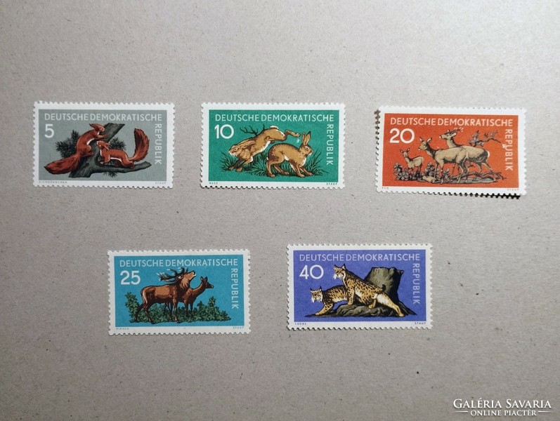 Germany, GDR fauna, forest animals 1959