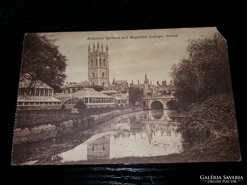 Antique oxford botanic garden and magdalen college college f - f sepia postcard as pictured