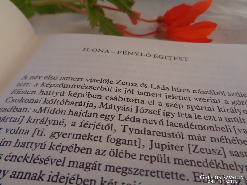 Ilona: Ágota Steinert's book, about Ilona's praise