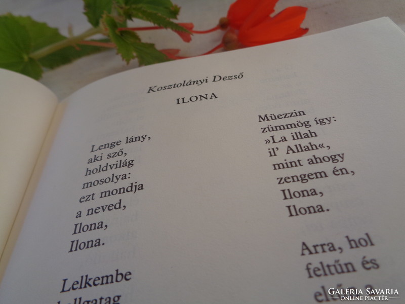 Ilona: Ágota Steinert's book, about Ilona's praise