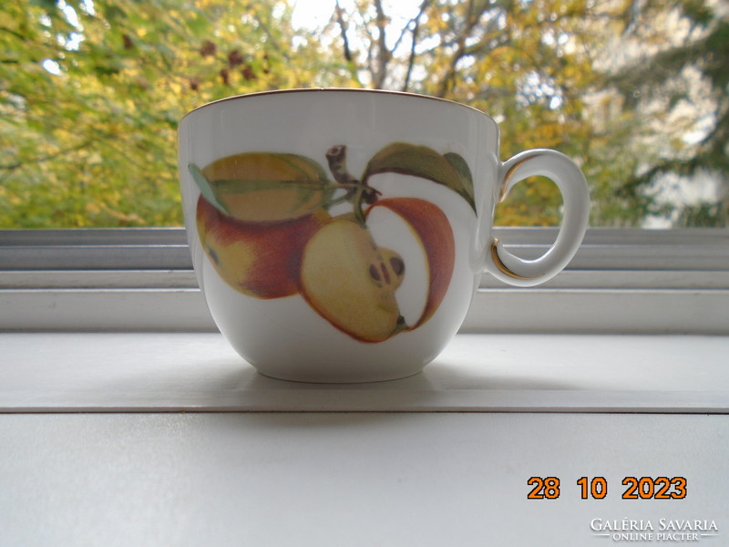 Royal worcester evesham tea cup with painting-like fruit patterns made of special porcelain