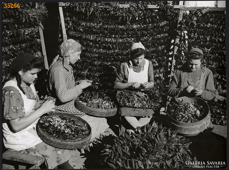 Nagyobb méret, Szendrő István fotóművészeti alkotása. Asszonyok, piros paprikával, 1930-as évek.