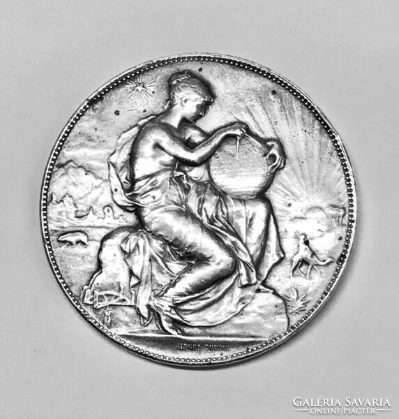 123 years old giant solid silver French coin! Diameter: 41 mm, weight more than 37 gr