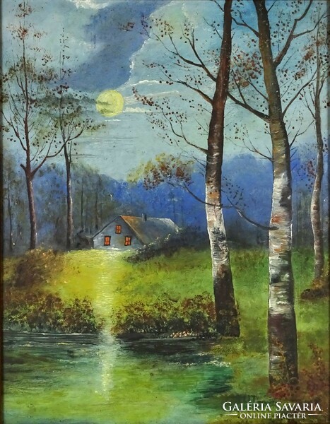 1P313 xx. Century painter: in the moonlight