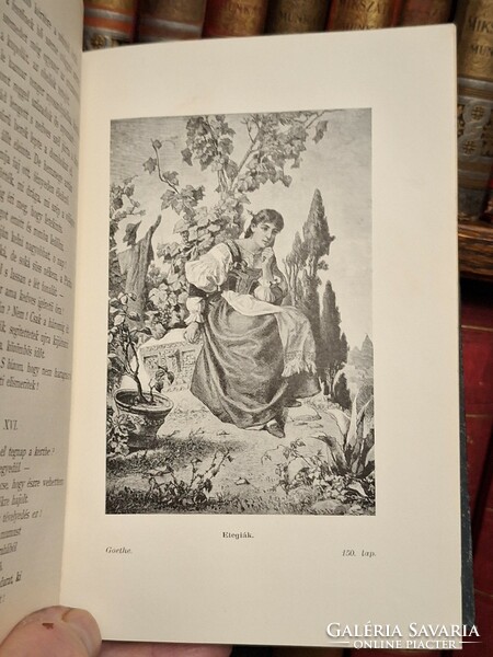 1900K. Masterpieces kk. Liliomos--goethe with the portrait of the poet and illustrated-