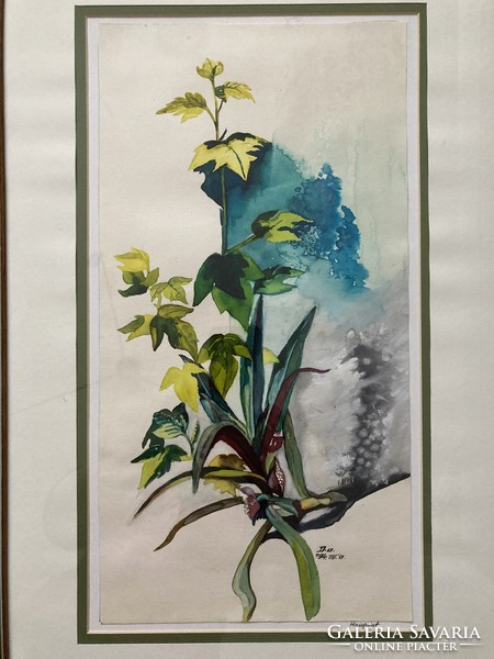 Watercolor on a botanical theme, in a glazed wooden frame