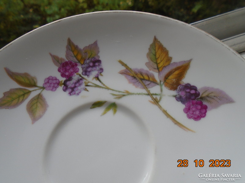 Royal worcester evesham tea cup with a painting-like fruit pattern and saucer made of special porcelain