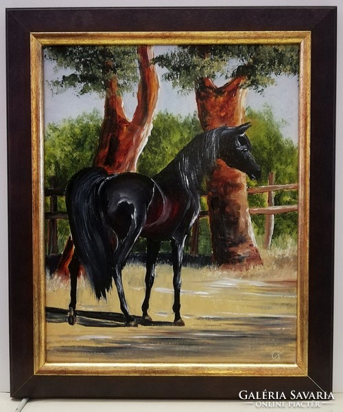 Cinnabar - noble bloodline (24 x 30, oil, in new frame)