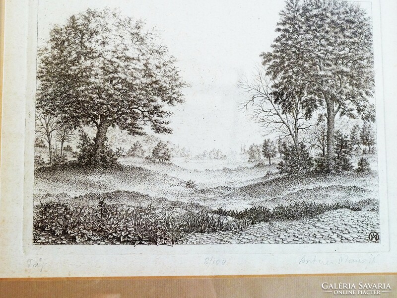 Fine artner etching