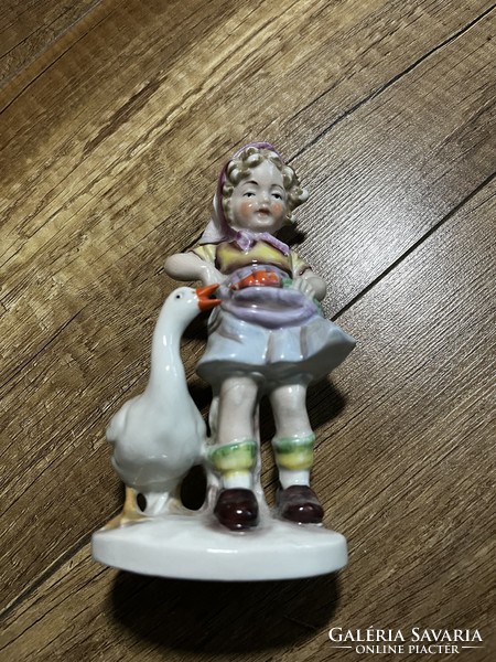 Little girl with a goose