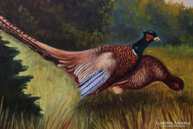 László Ofcsák's oil painting of pheasants