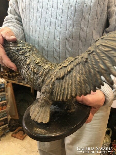 XIX. Century bronze eagle statue, 20 x 37 cm, a rarity.