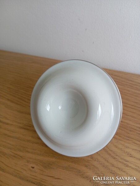 Retro Hungarian Ravenclaw porcelain. Studio