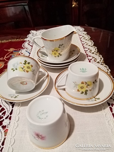 Hollóháza porcelain coffee set: cup (4 pcs), saucer (10 pcs) and 1 pourer