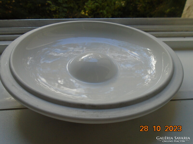 Royal worcester evesham gold fireproof soup bowl with painting-like fruit patterns