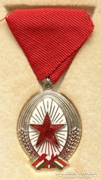 Order of merit silver grade in a box with a miniature