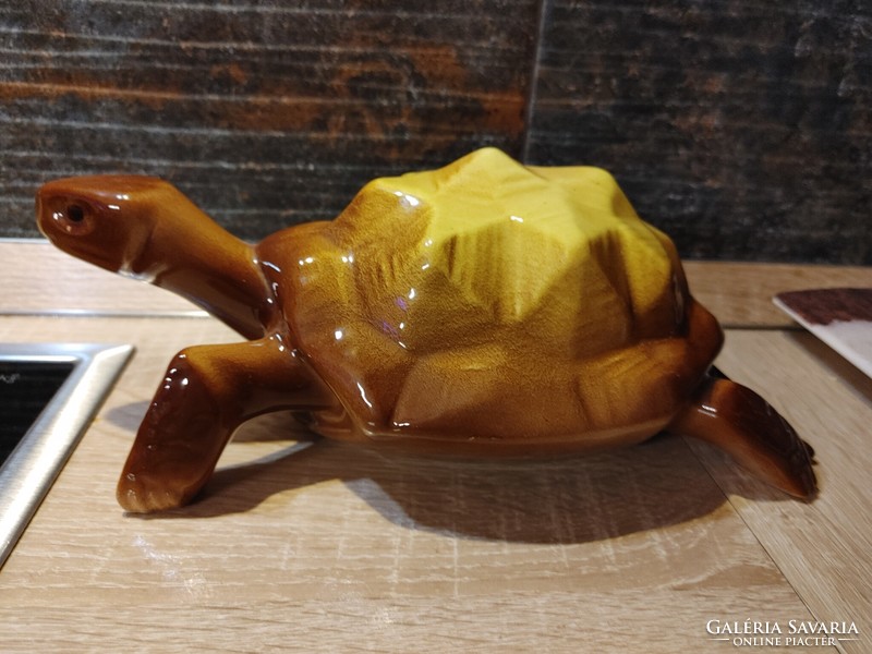 Beautiful ceramic turtle turtle