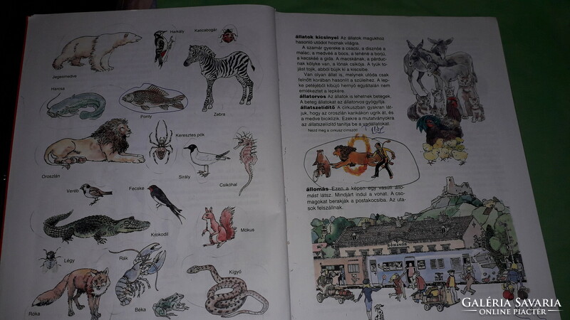 1995. Ferenc Mérei: window-giraffe picture children's lexicon picture book by pictures móra
