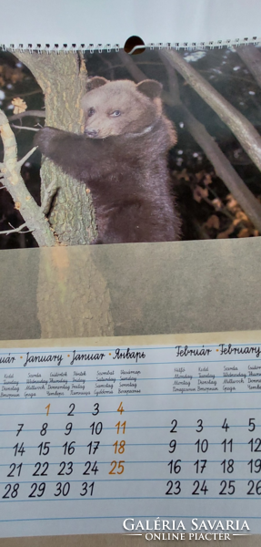 1987. Wall calendar, bear, teddy bear, teddy bear