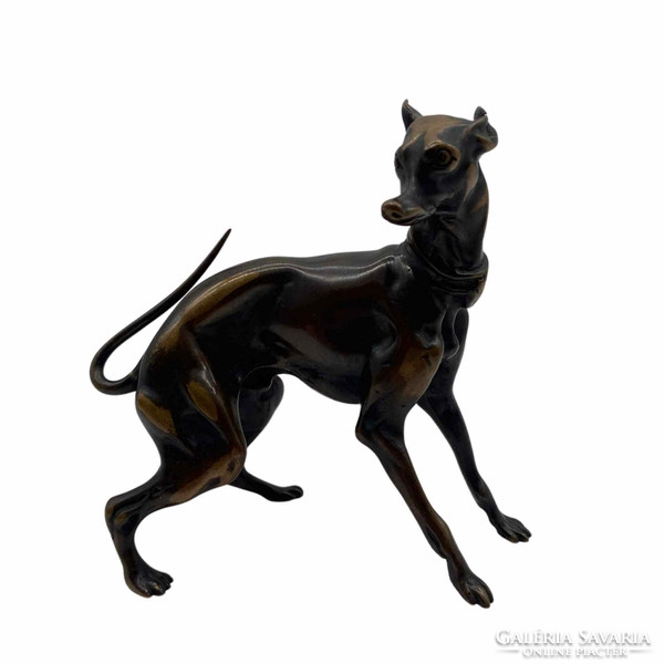 Bronze greyhound-m01324