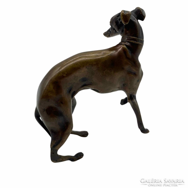 Bronze greyhound-m01325