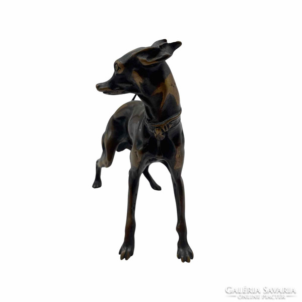 Bronze greyhound-m01324