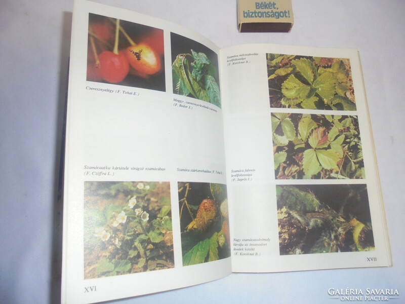 Növényvédelem a kiskertben - 1980 - retro könyv