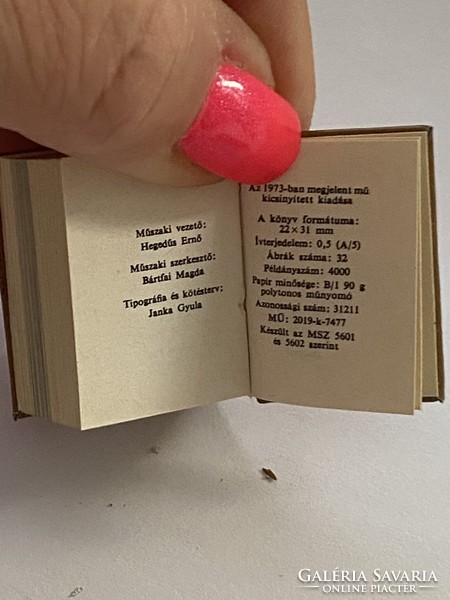 2 db minikönyv “Miniatűr könyvekről gyűjtőknek” 23x30mm
