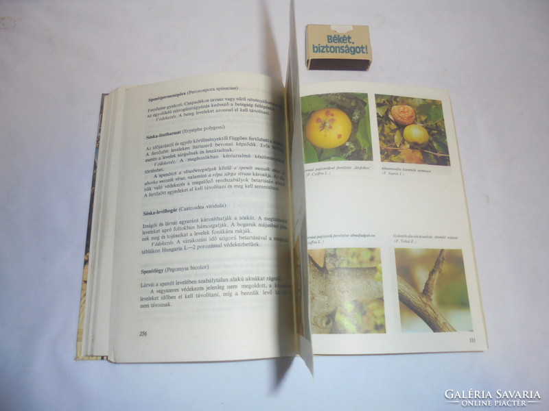 Növényvédelem a kiskertben - 1980 - retro könyv