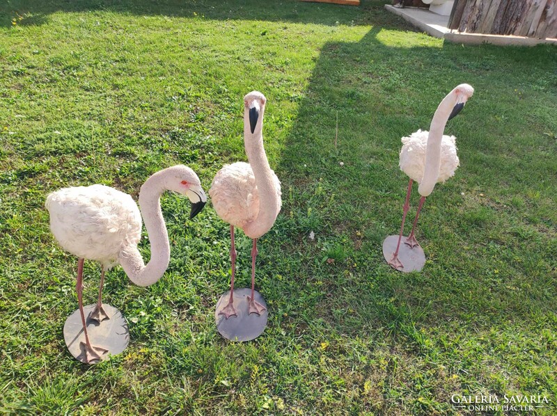 Old theater flamingos