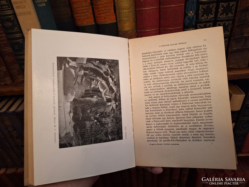 1940-KIRÁLYI MAGYAR TERMÉSZETTUDOMÁNYI TÁRSULAT-GREGORY RAVEN. GORILLÁK NYOMÁBAN -extra szép gyűjtői