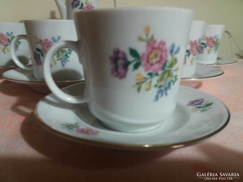 Lowland porcelain coffee set with flower pattern