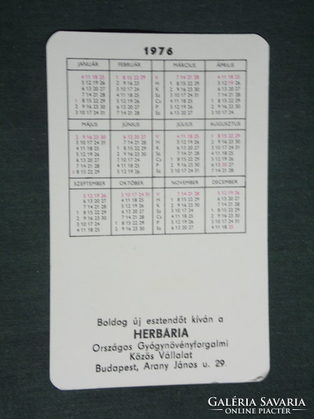 Card calendar, herbarium medicinal plant trading company, graphic artist, 1976, (2)