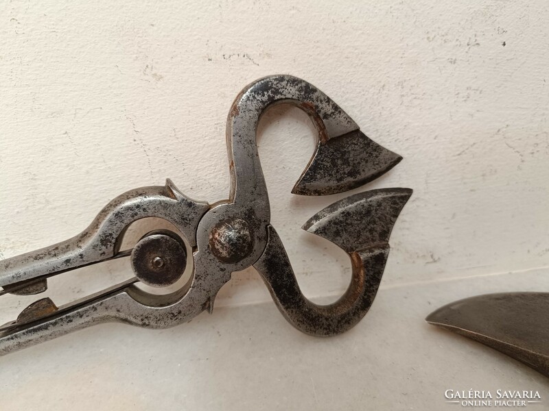 Antique kitchen tool block sugar sugar potato cutting tool ax breaking hammer museum 387 8075